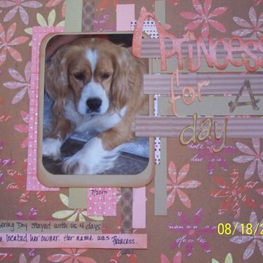 Princess for a Day