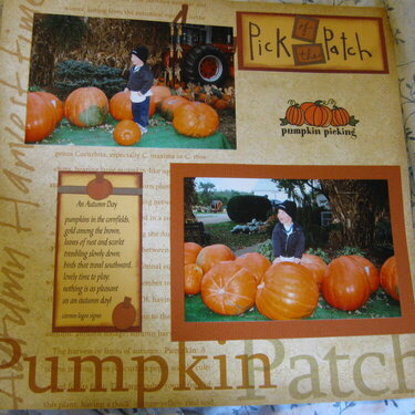 Pick of the patch 2005 pg 1