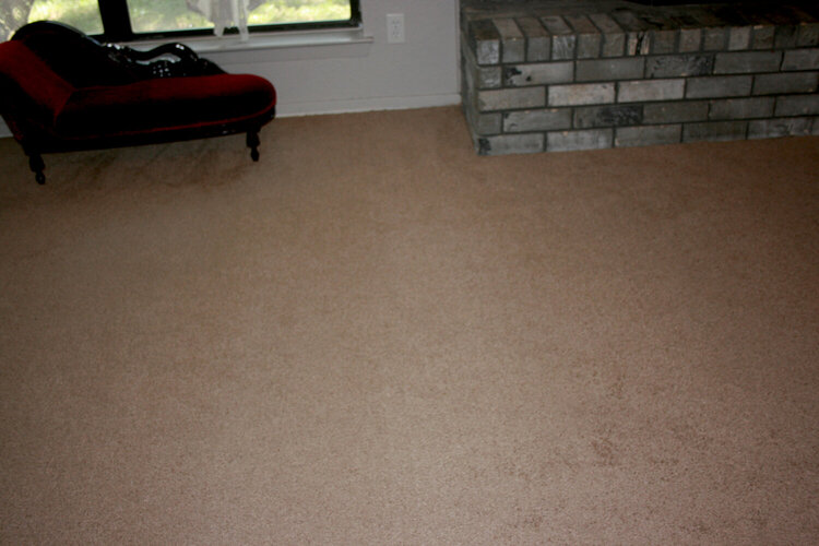 new nuetral carpet so nic and c,ean
