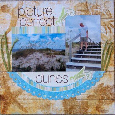 picture perfect dunes