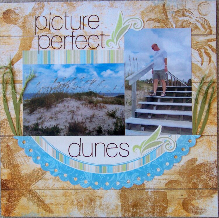 picture perfect dunes