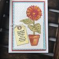 Sunflower sentiment card.