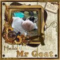 Hello Mr Goat