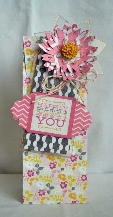 Mother&#039;s Day Gift Bag *Clear Scraps*