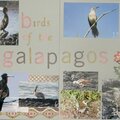 Birds of the Galapagos