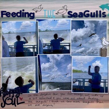 Feeding The Seagulls