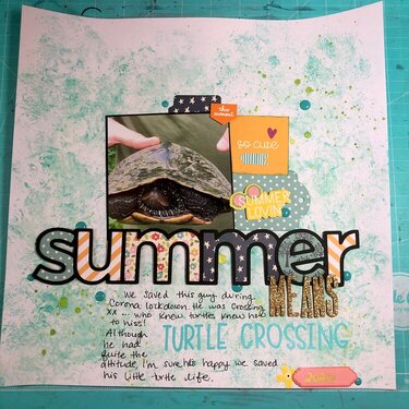 Summer means turtle crossing