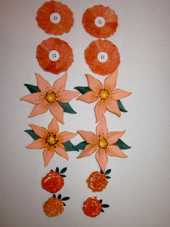 Orange flowers for swap