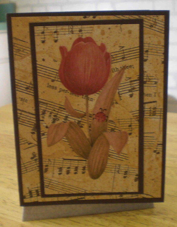 Musical Tulip Card for OWH
