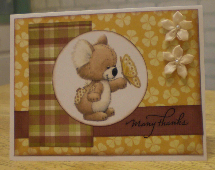 Koala &quot;Many Thanks&quot; Card for OWH