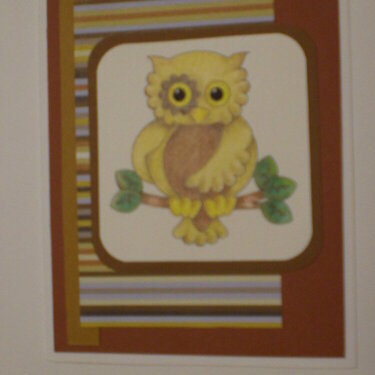 Quirky Owl Notecard for OWH