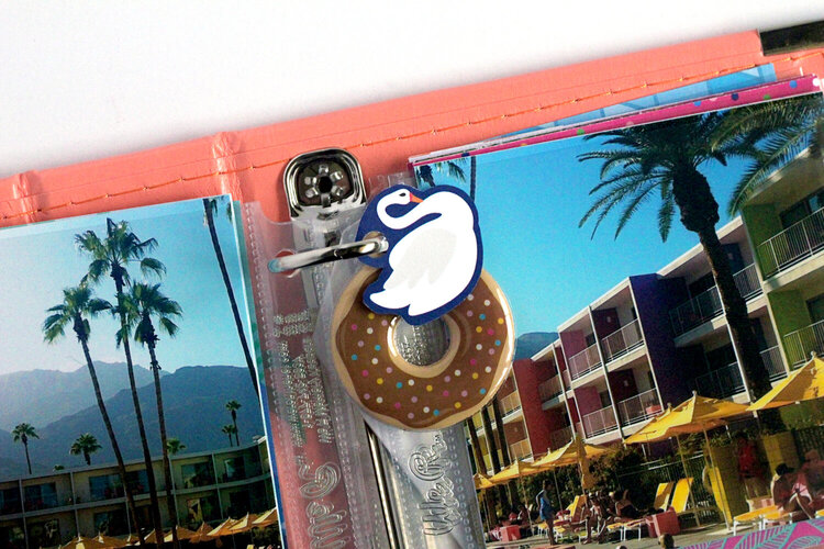Palm Springs Minibook