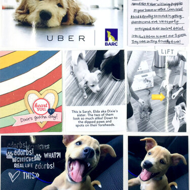 Uber Puppy