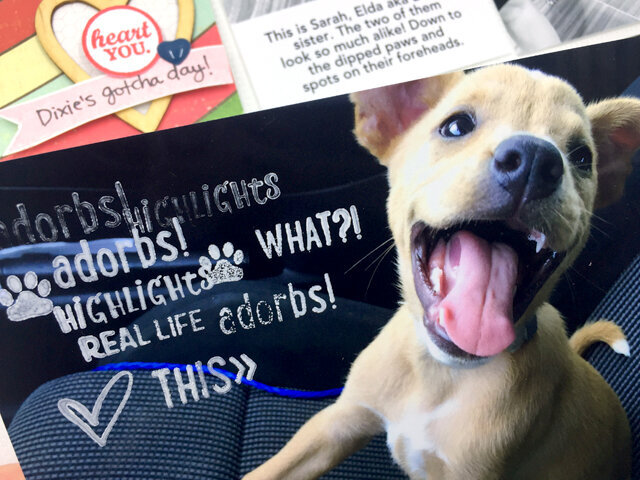 Uber Puppy