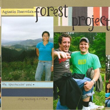Agustin Ibarolla's Forest Project