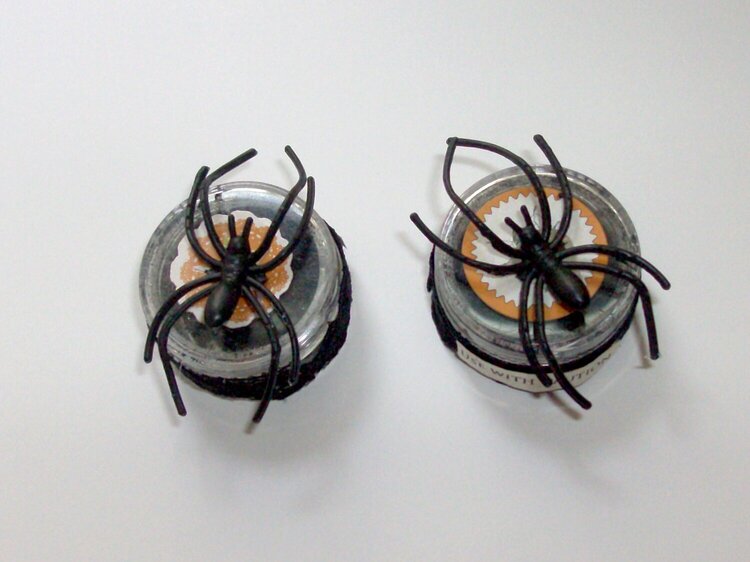 Spider Potion Pots