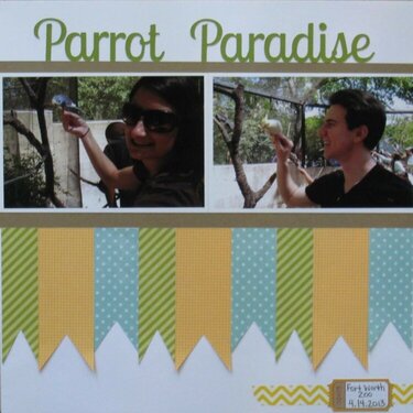 Parrot Paradise