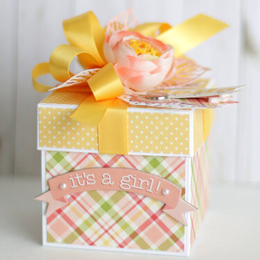 Carta Bella "It's a Girl" Gift Box