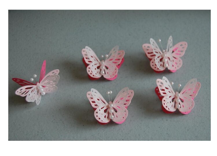 Handmade Butterfly Swap