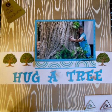 Hug A Tree