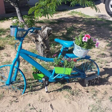 Garden flower bike