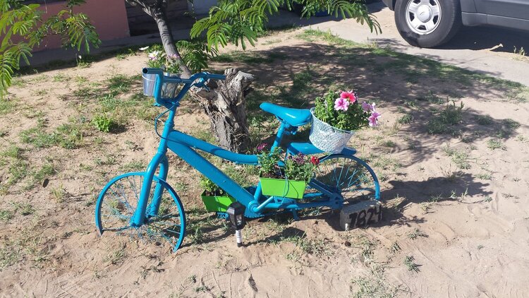 Garden flower bike