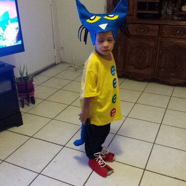 Pete the cat character book  costume