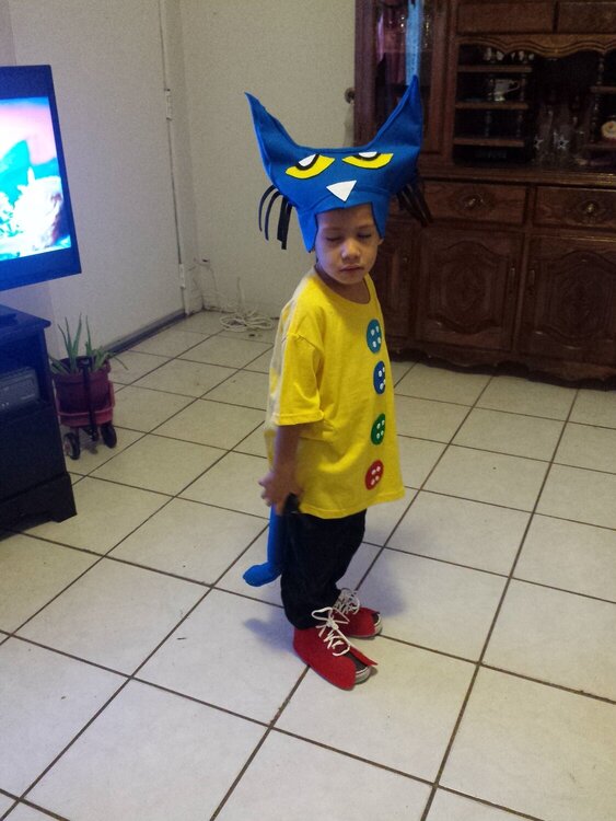 Pete the cat character book  costume