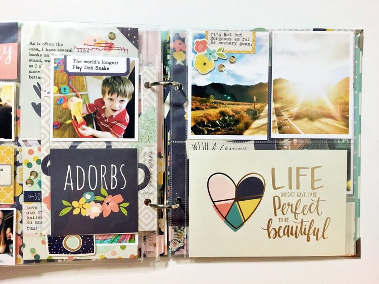 6X8 Mini Album with Simple Stories Posh