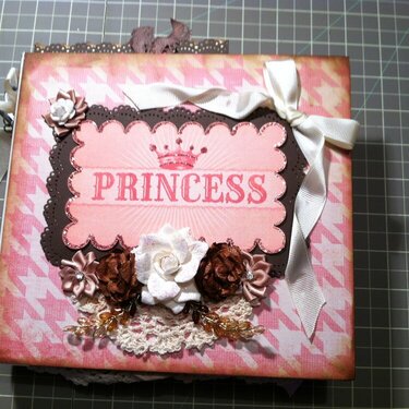 Princess Mini Album