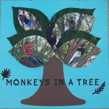 Monkeys In A Tree