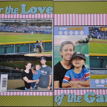Love of the game 2016