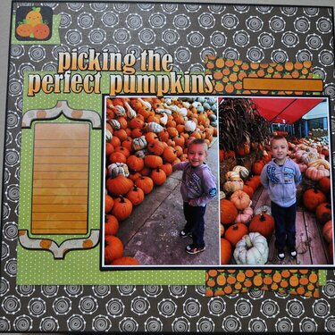 picking the perfect pumpkin