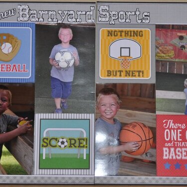 Barnyard Sports