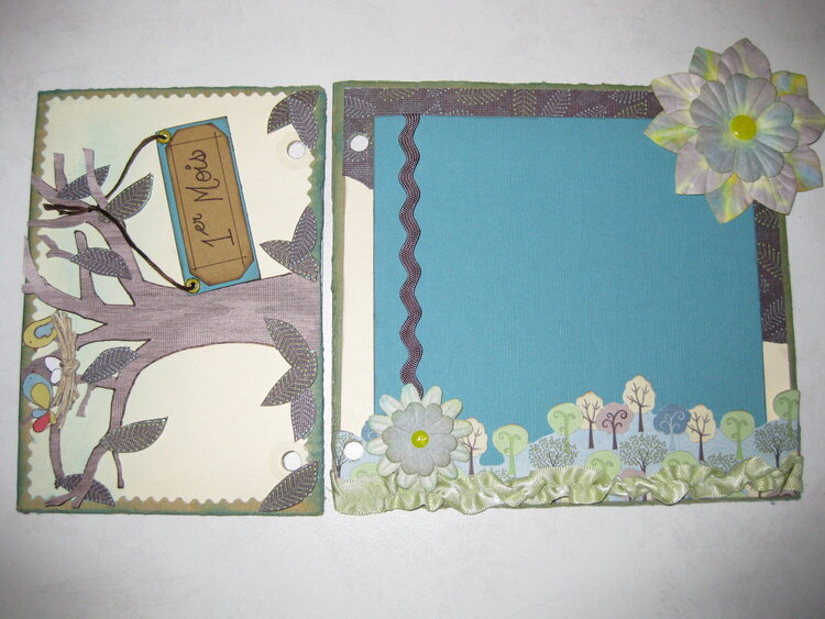 Pregnancy mini album for my sister