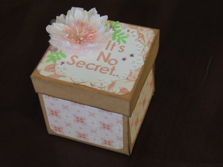 It&#039;s No Secret ~ My Very First Explotion Birthday Box