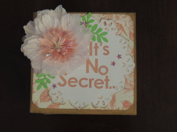 It&#039;s No Secret ~ My Very First Explotion Birthday Box