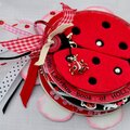 mini album "Little Ladybug book of Holly"