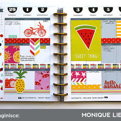 Planner Pages - Imaginisce