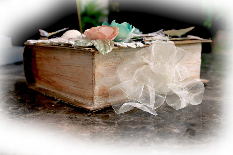 Seashore Memories Altered Book Box *Scraps Of Elegance* May Kit~Cape May Holiday