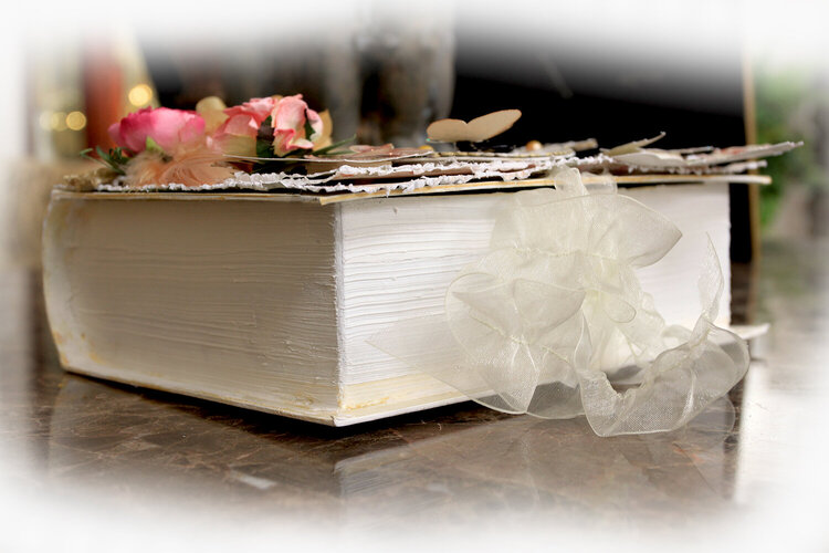 The Little Things Altered Book Box **Scraps Of Elegance** * Scrapmatts Chipboard*