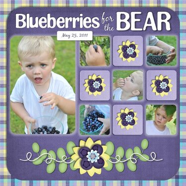 Blueberries For The Bear
