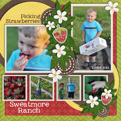 Picking Strawberries