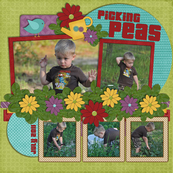 Picking &amp; Shelling Peas