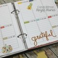 Life Documented Planner (August)