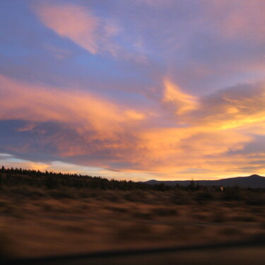 Storm is Brewing Fall 2010