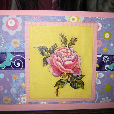 Rose Card 2010