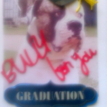 Graduation for American Bulldog Lover