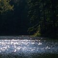 Sun fairies dancing on the lake