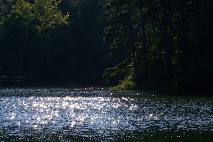 Sun fairies dancing on the lake